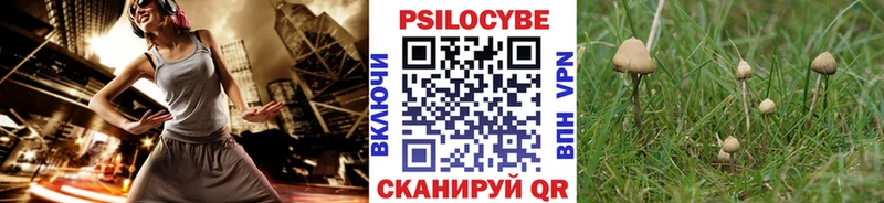 Псилоцибиновые грибы Psilocybine cubensis  Купить закладки  Стерлитамак 